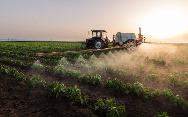 Best Insect Control  in Edwards, CO