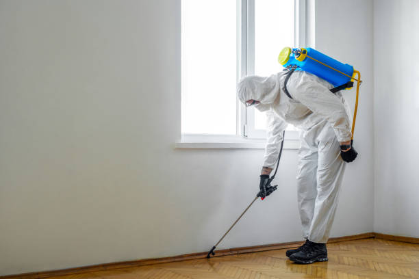 Best Emergency Pest Control  in Edwards, CO